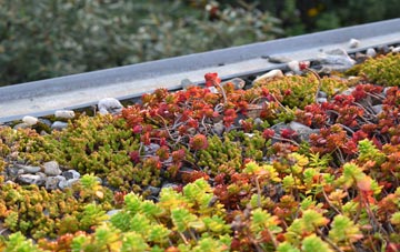 the cost of Nolton Haven green roof installation