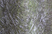 Nolton Haven fibreglass roof work